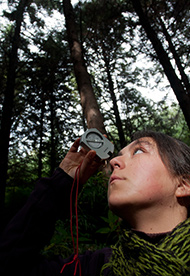 Ingeniería en Conservación de Recursos Naturales – Ingeniería Forestal