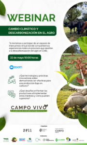 Lorem Ipsum Dolor