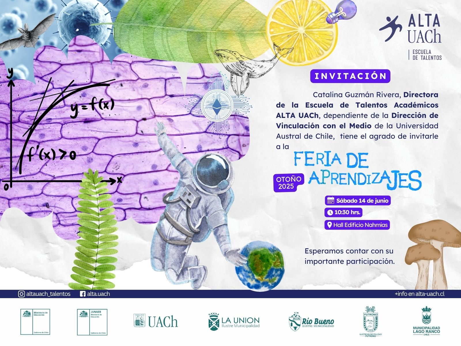 Lorem Ipsum Dolor